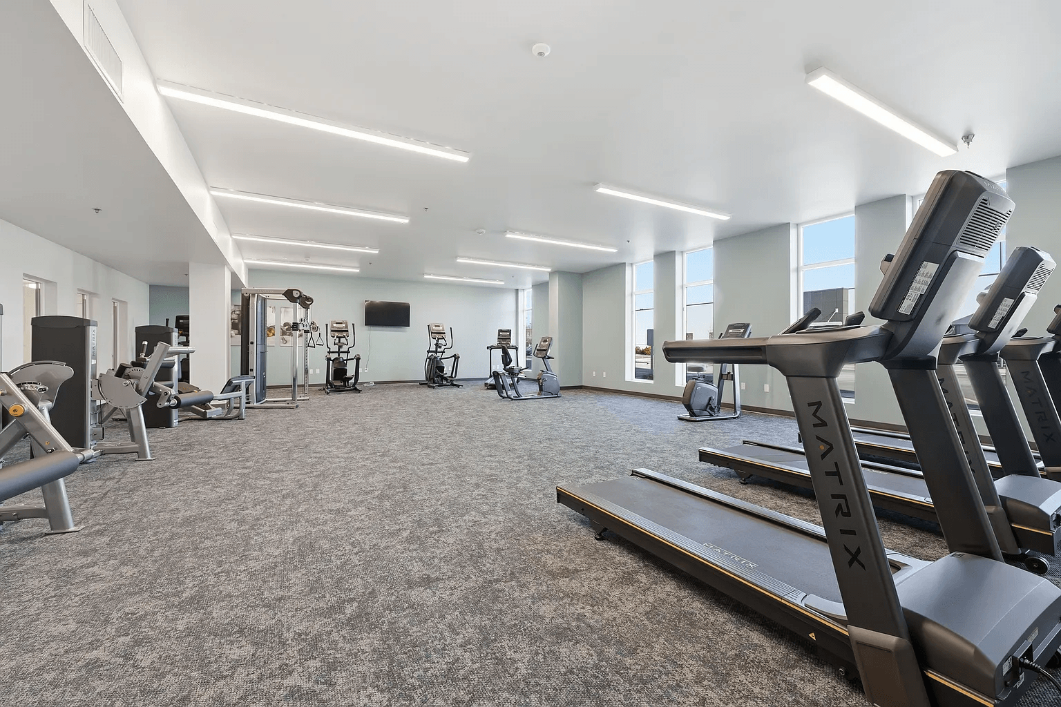 A gym with treadmills, exercise bikes, and other equipment.